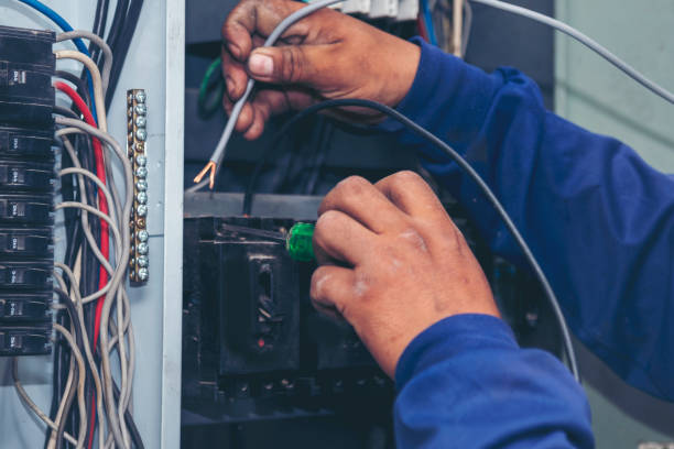 Best Electrical System Inspection  in Lake Royale, NC